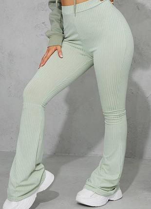 Лосіни в рубчик кльош