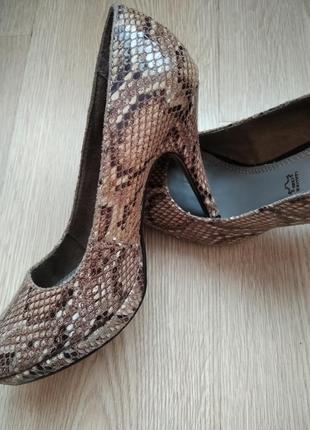 Шикарні туфлі шкіра змія1 фото