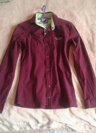 Бордова сорочка