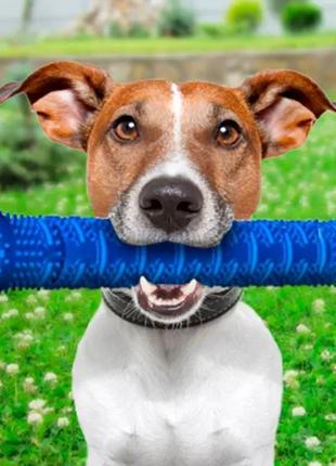 Зубна щітка для собак chewbrush — самоочисна зубна щітка для собак