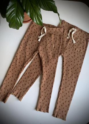 Лосинки в рубчик zara, 2/3 роки.