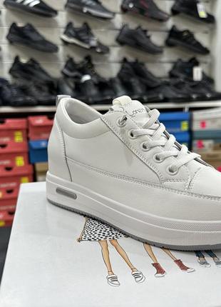 Кроссовки lonza