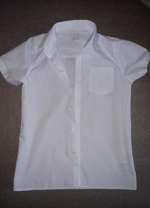 Сорочка некст із коротким рукавом