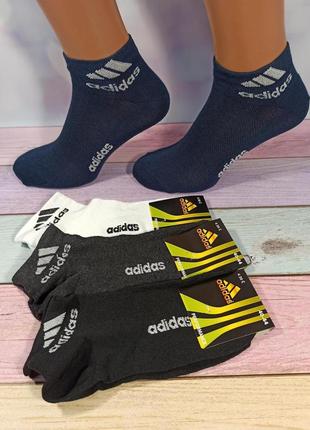 Чоловічі носки короткі набір