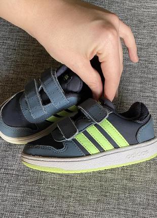 Кожаные кроссовки adidas 244 фото