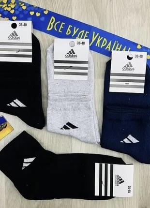 Шкарпетки спортивні adidas комплект 3 шт.