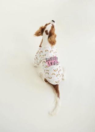 Комбез футболка для собаки sinsay1 фото