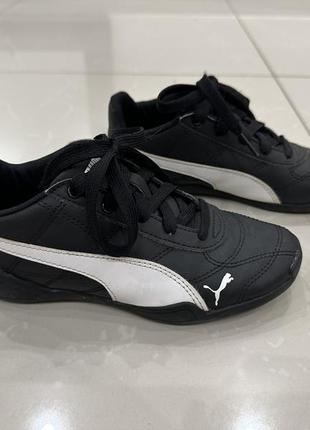 Кроссовки puma1 фото