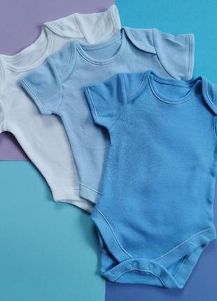 Базові боді