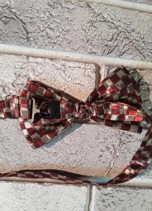 Метелик бабочка 3