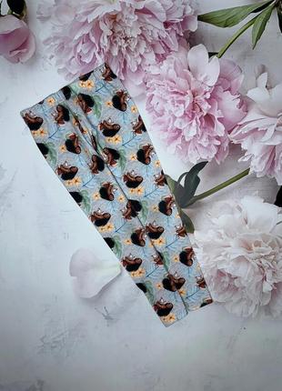 Лосини з моана