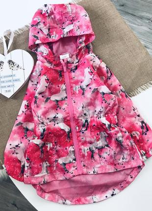 Яркая парка ветровка