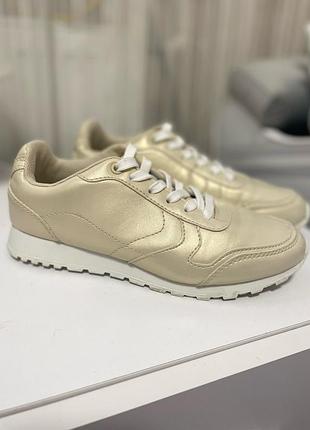 Кроссовки creeks