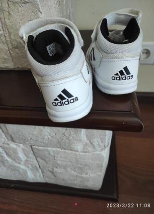 Шкіряні  білі кросівки adidas 264 фото