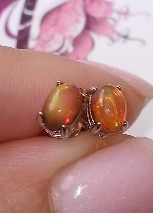 Серебряные серьги с натуральным  австралийским  огненным опалом. натуральный опал