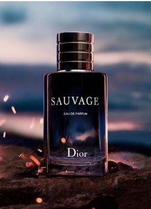 Мужской парфюм christian dior sauvage 100ml edp мужская туалетная вода мужской парфюм кристиан диор савраж4 фото