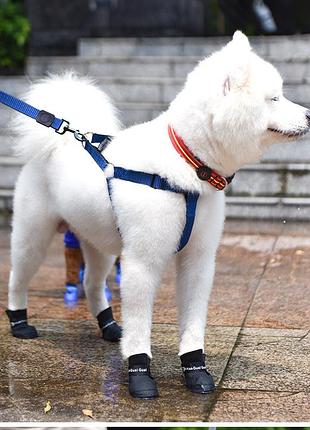 Водонепроникне гумове взуття для тварин на липучці чорне l