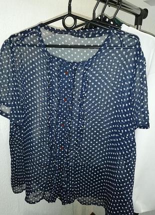 Блуза xxl горошок синьо-біла