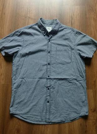 Рубашки cedarwood state