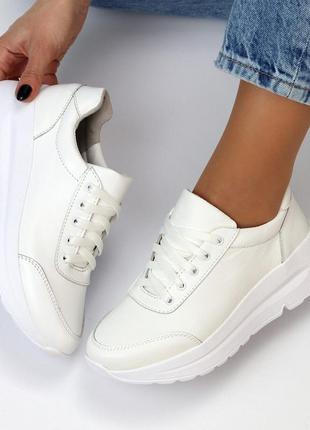 Кроссовки "gallery"