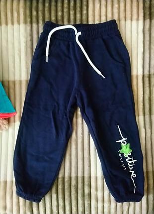 Спортивные штаны, джогеры