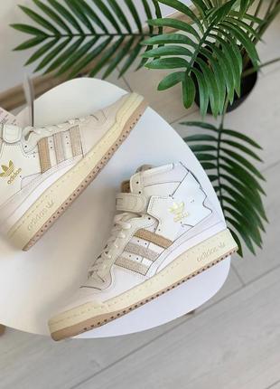Женские кроссовки adidas forum 84 hi