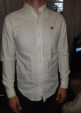 Мужская рубашка timberland