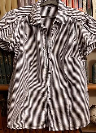 Бавовняна блуза