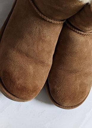 Оригінальні уггі ugg 6