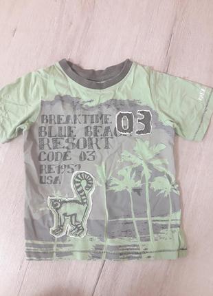 Крута фірмова футболка palomino