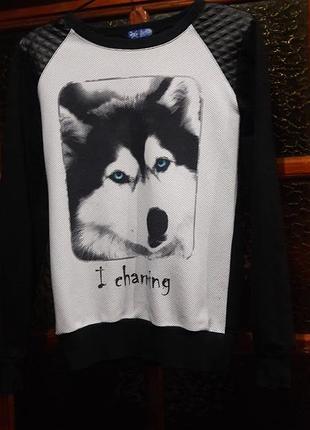 Красивый свитер, 44-46