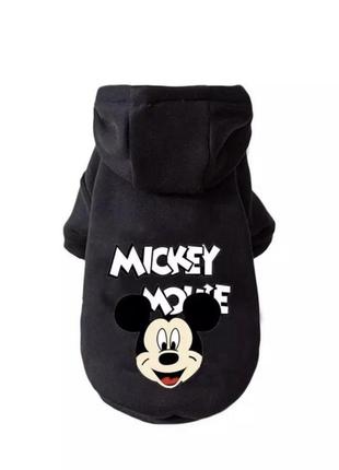 Одяг для собаки