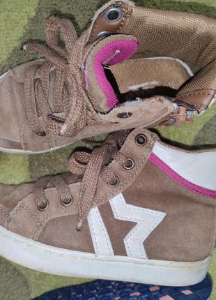 Хайтопи, кеди високі