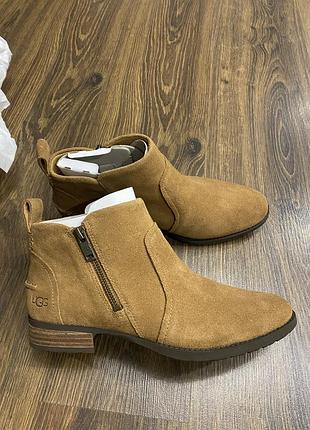 Ботинки козаки ugg натуральна замша