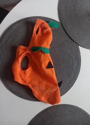 Наряд на домашнього улюбленця🎃
