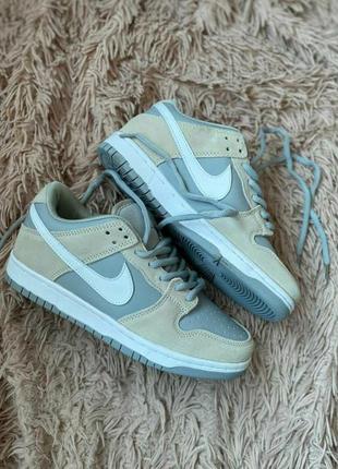 Nike sb dunk pro
•light grey•