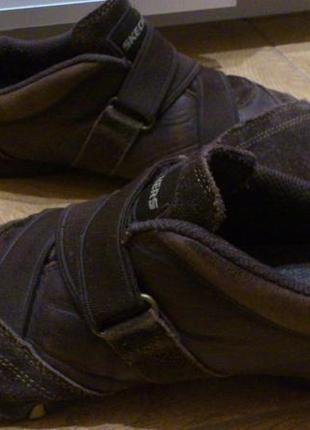 Кроссовки замшевые женские коричневые кросівки замшеві жіночі skechers скечерс р.393 фото