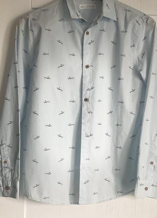 Рубашка zara 3