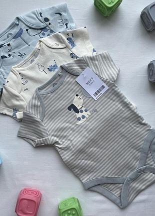 Наймиліші бодіки ever від next