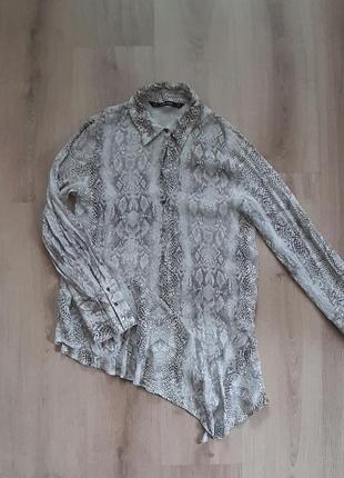 Блузка в зміїний принт