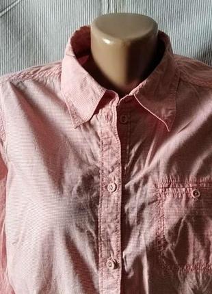 Сорочка брендова картата