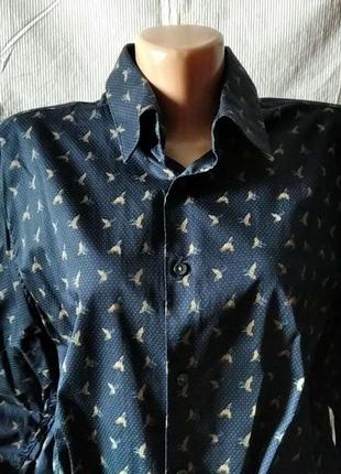 Сорочка чоловіча брендова