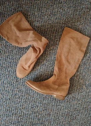 Чоботи жіночі стильні тренд