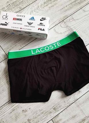 Чоловічі труси боксери lacoste , труси лакоста