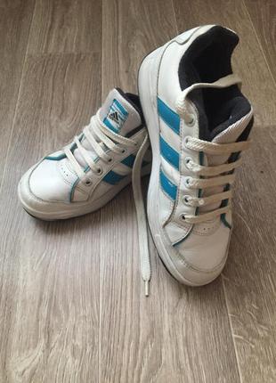 Adidas2 фото