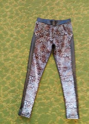 Лосины теплые