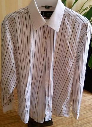 Стильна сорочка polo