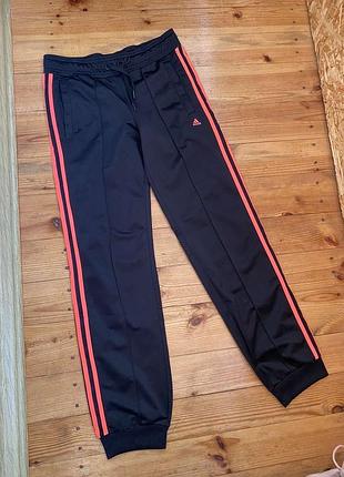 Спортивные штаны boston adidas