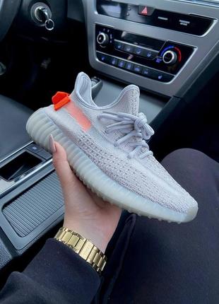 Adidas yeezy boost 350 tail light2 фото