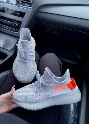 Adidas yeezy boost 350 tail light5 фото